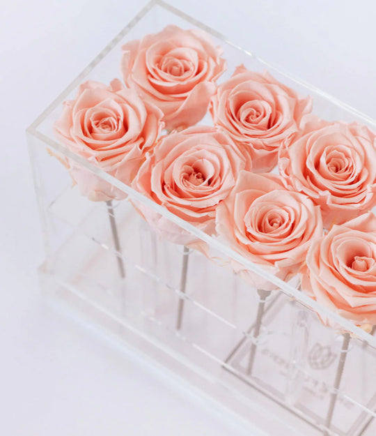Rectangle Forever Rose Box
