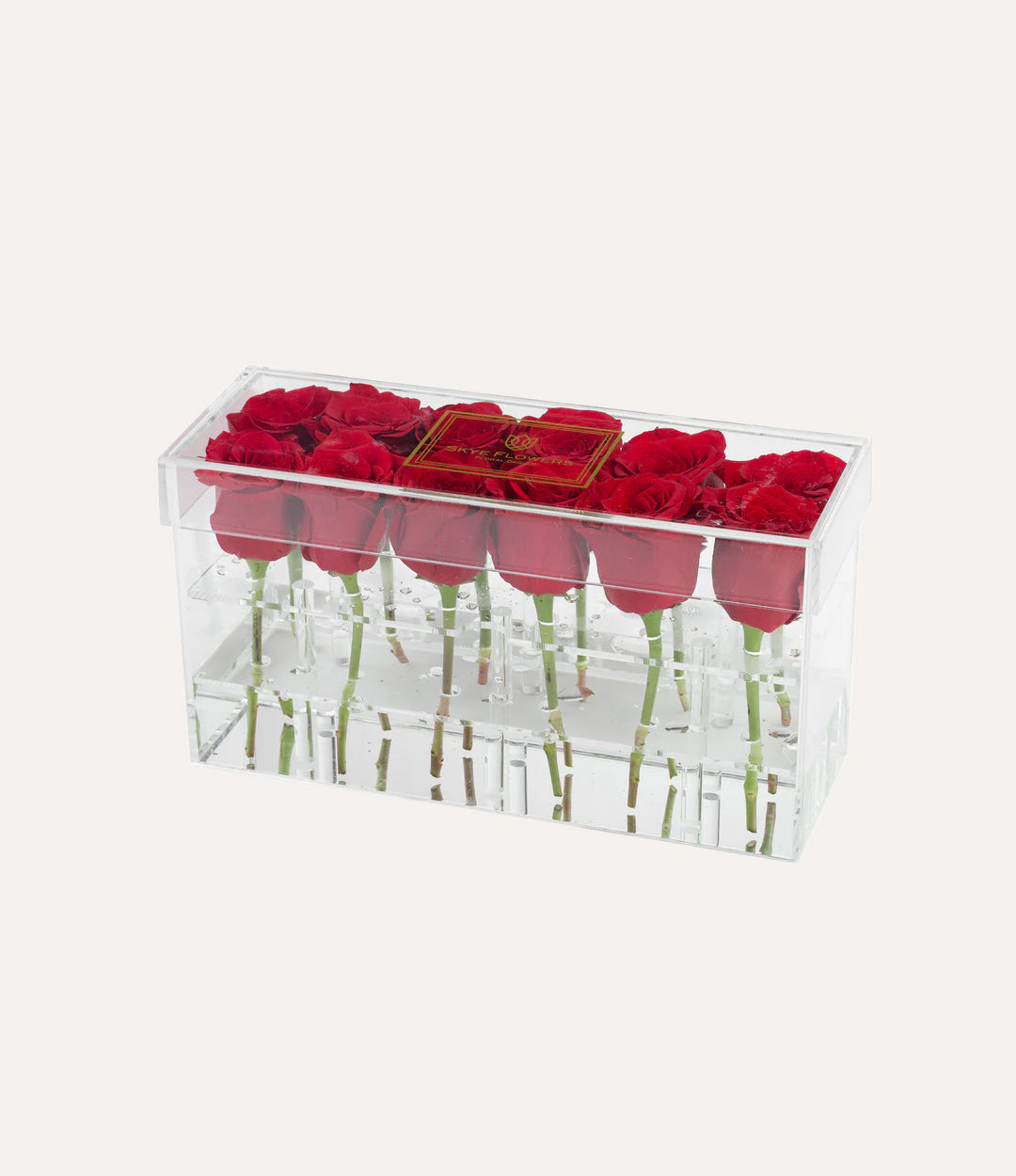 Rectangle Fresh Rose Box