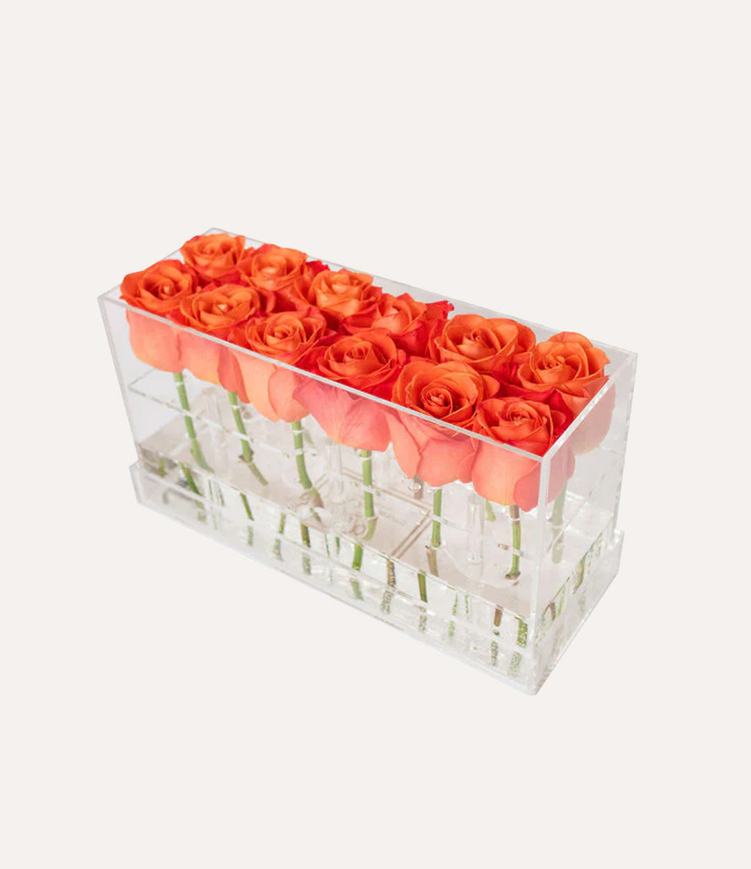 Rectangle Fresh Rose Box