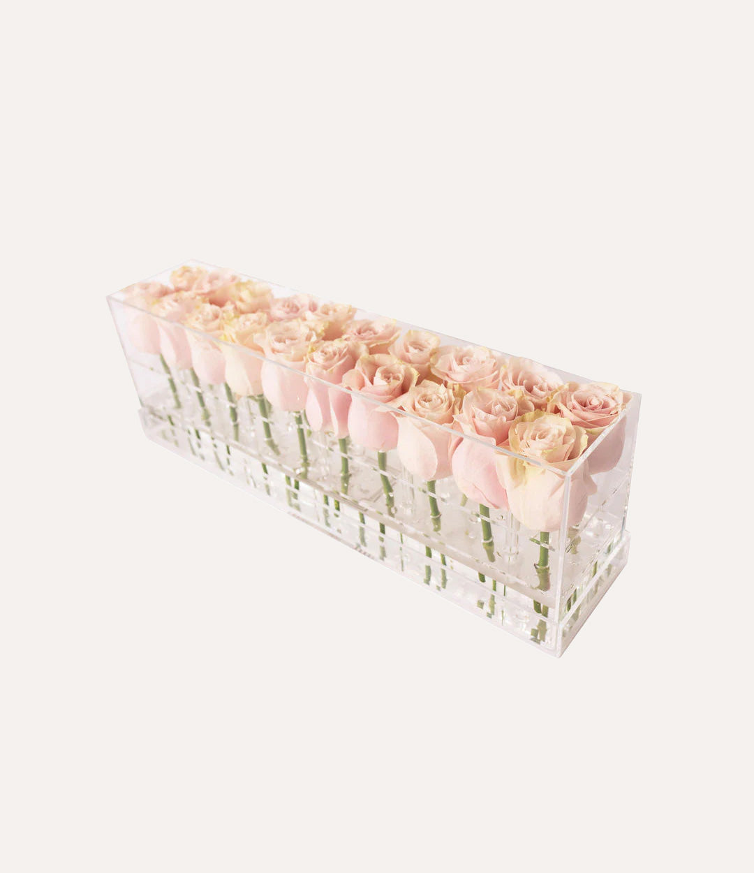 Rectangle Fresh Rose Box
