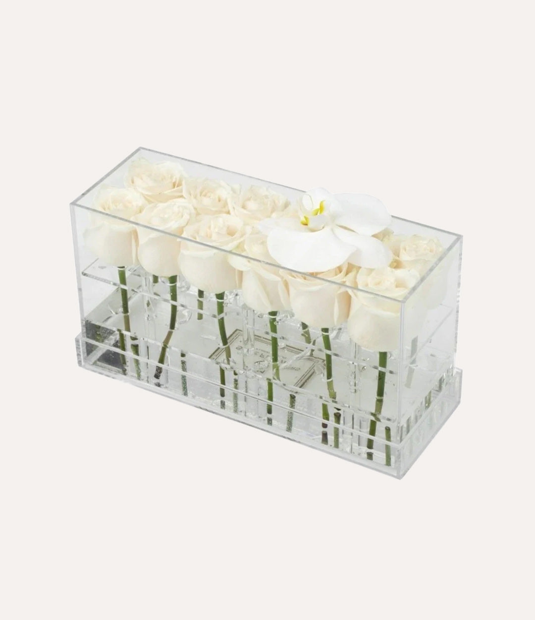 Rectangle Fresh Rose Box