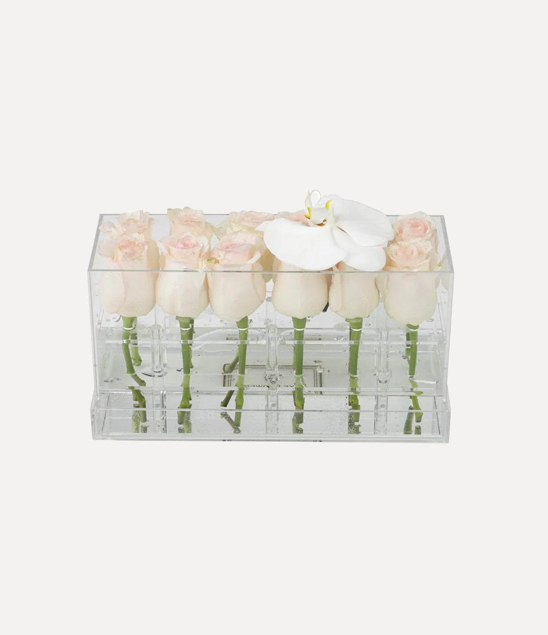 Rectangle Fresh Rose Box