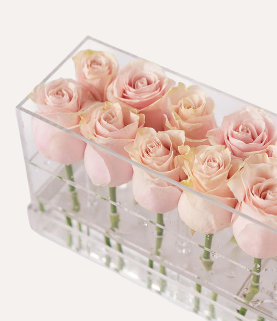 Rectangle Fresh Rose Box