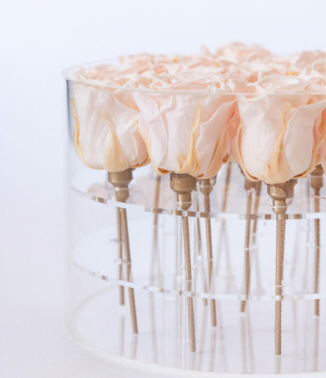 Round Forever Rose Box