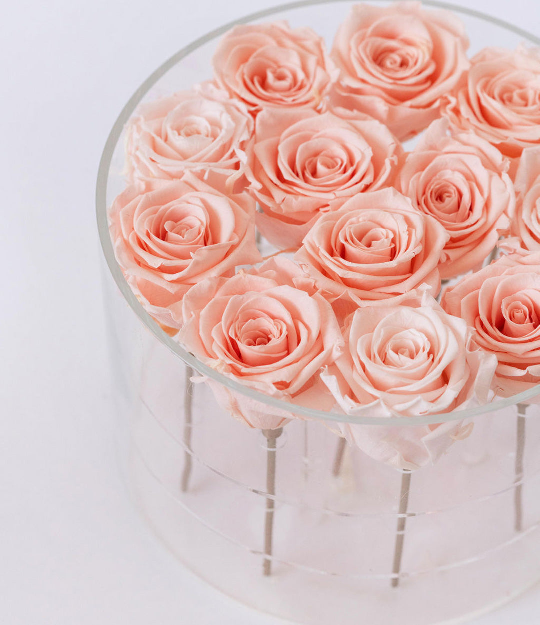 Round Forever Rose Box