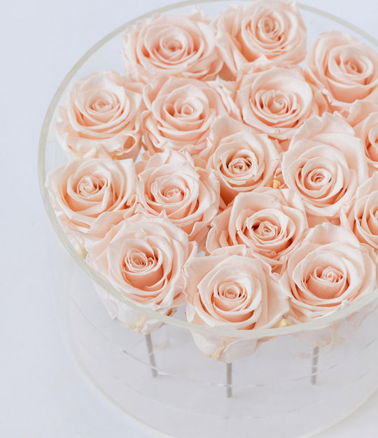 Round Forever Rose Box