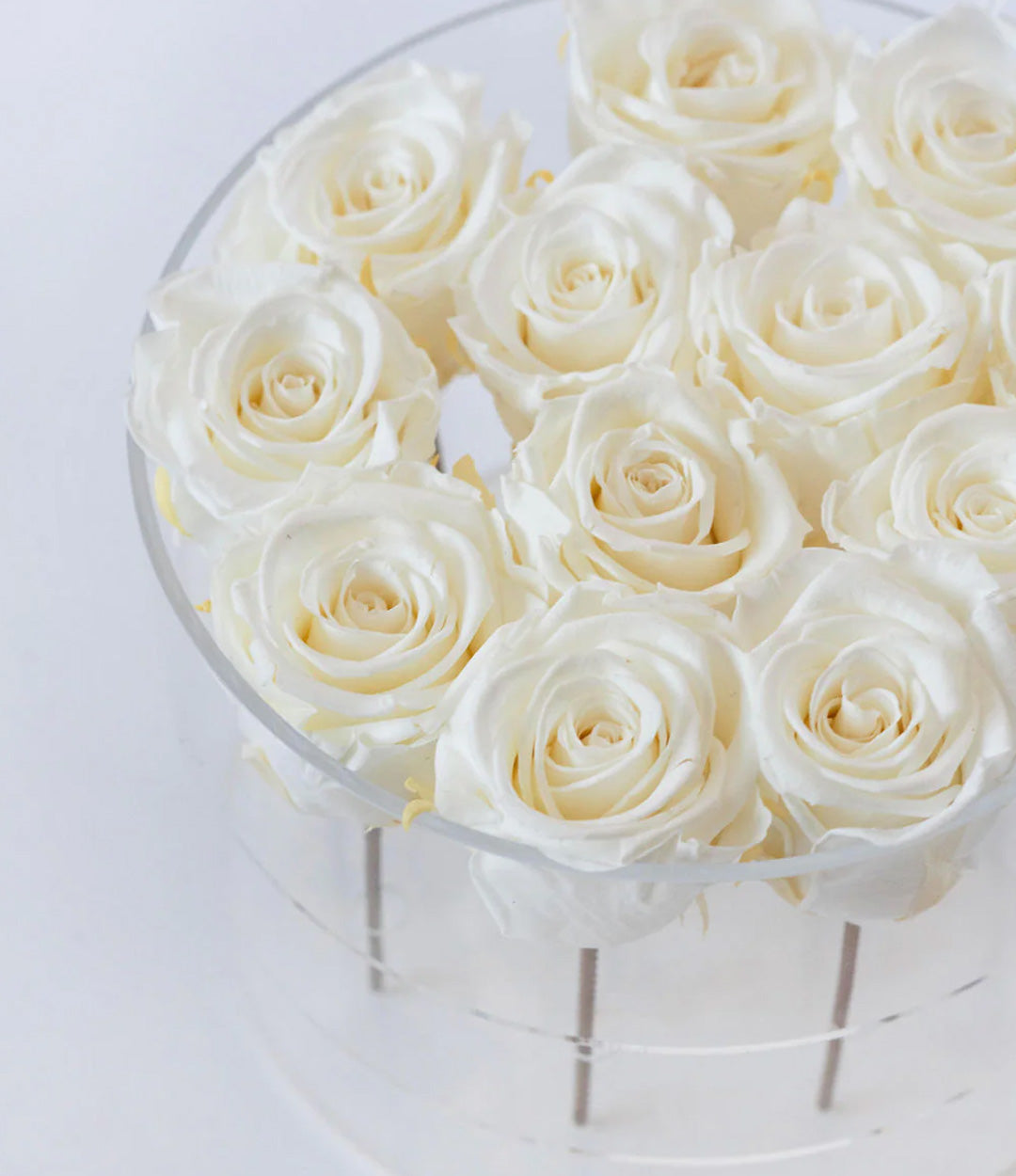 Round Forever Rose Box