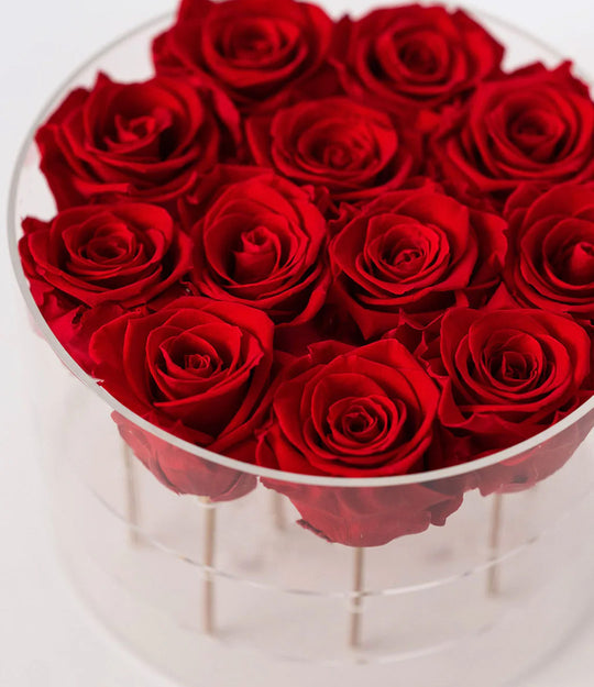 Round Forever Rose Box