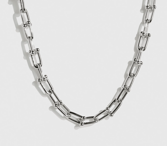 silver Horse Shoe link Necklace