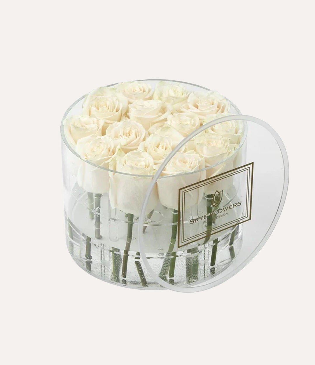 Round Fresh Rose Box