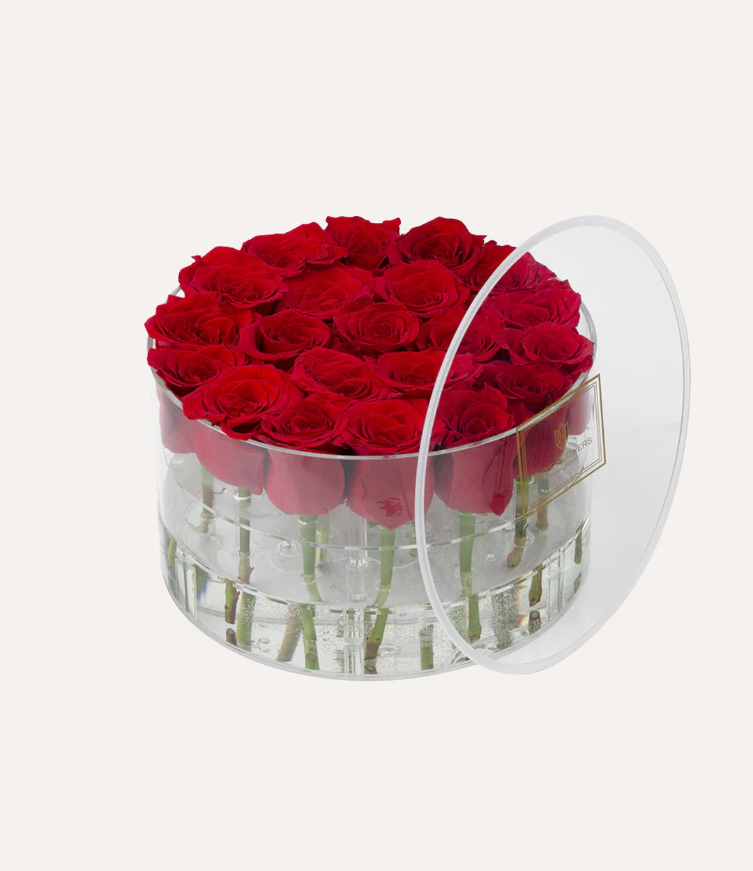 Round Fresh Rose Box