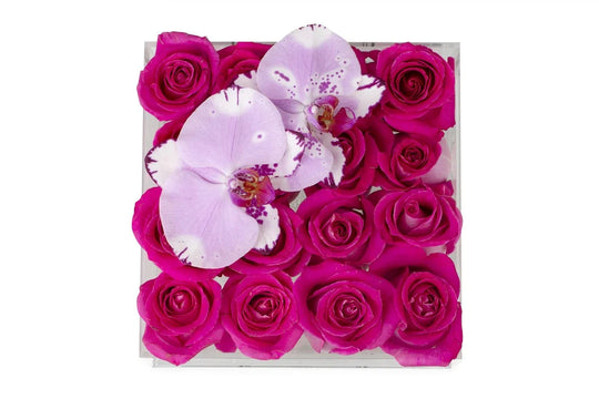 Square Fresh Rose Box