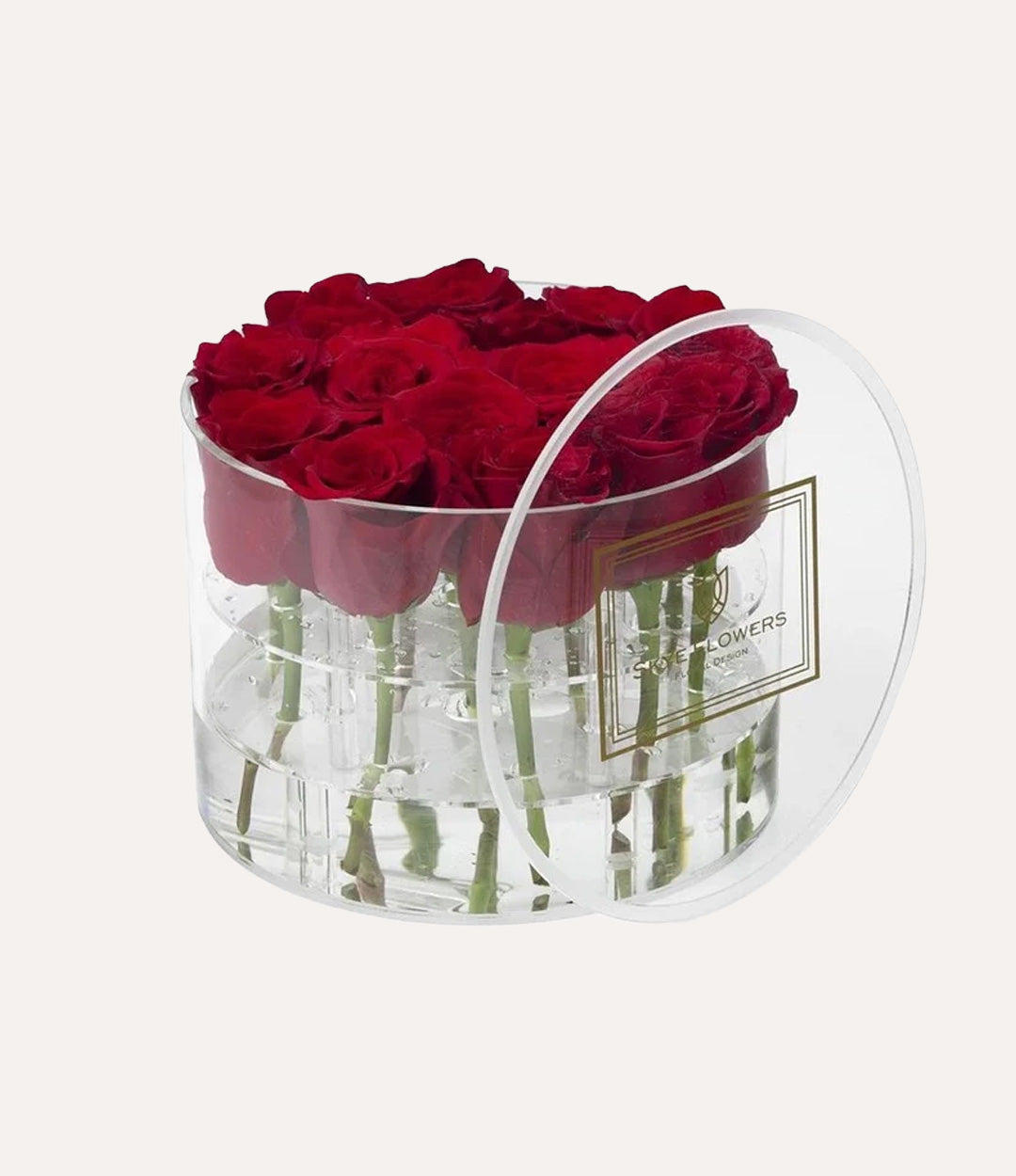 Round Fresh Rose Box