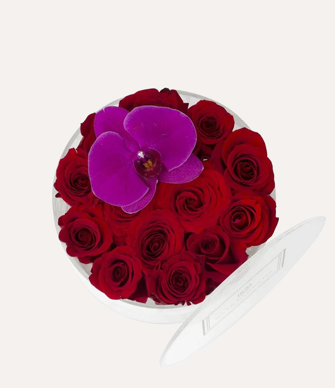 Round Fresh Rose Box