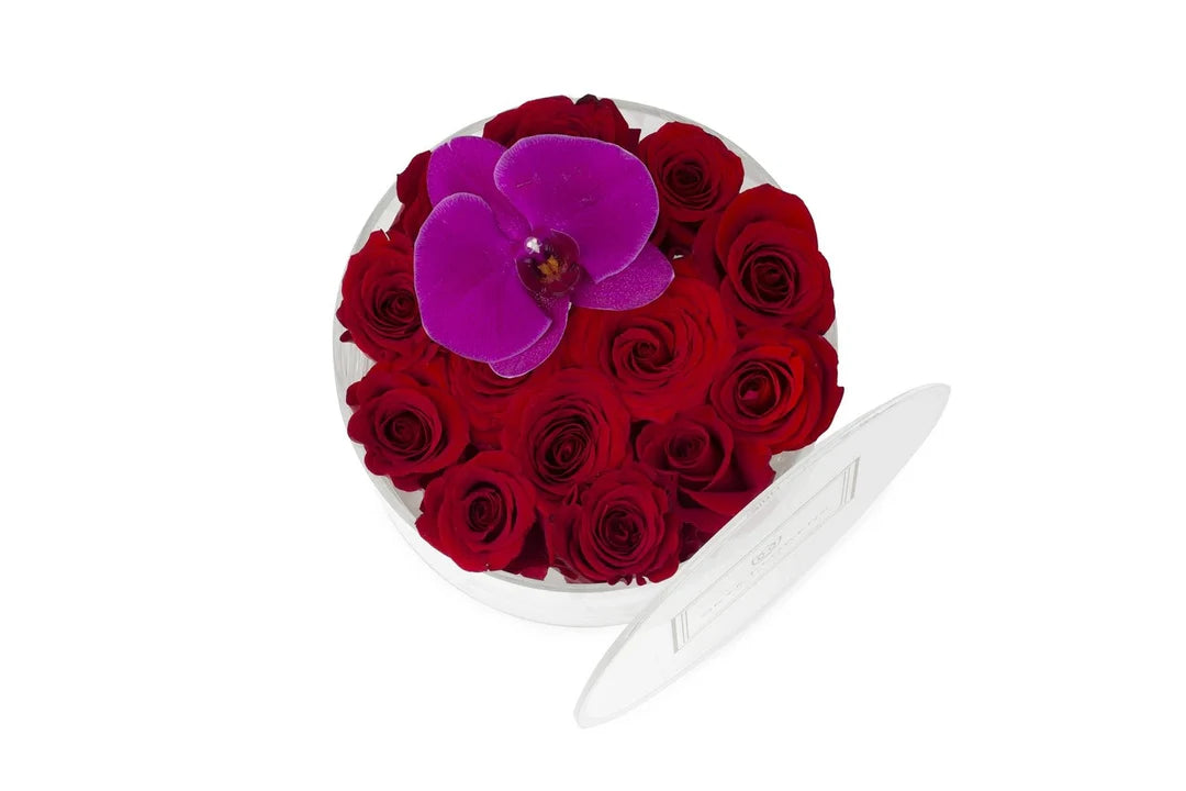 Round Fresh Rose Box