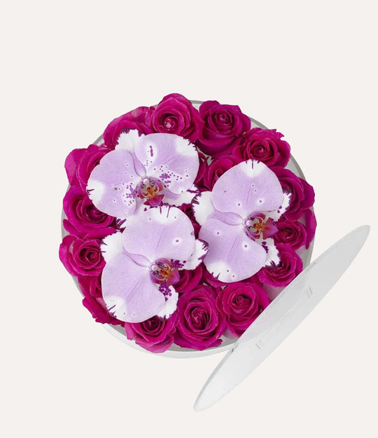 Round Fresh Rose Box