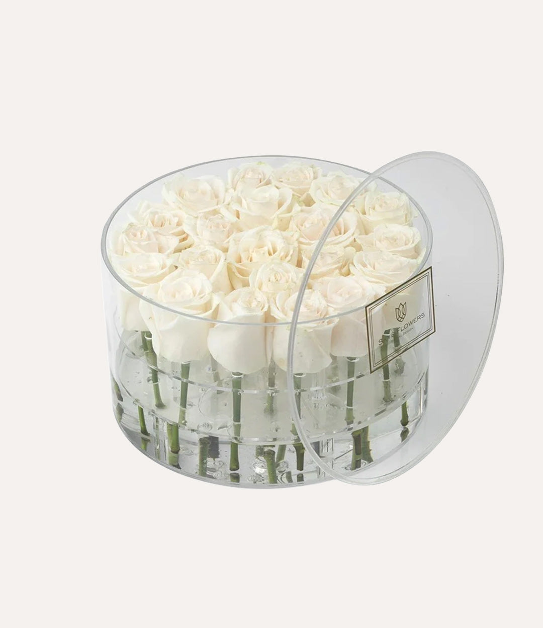 Round Fresh Rose Box