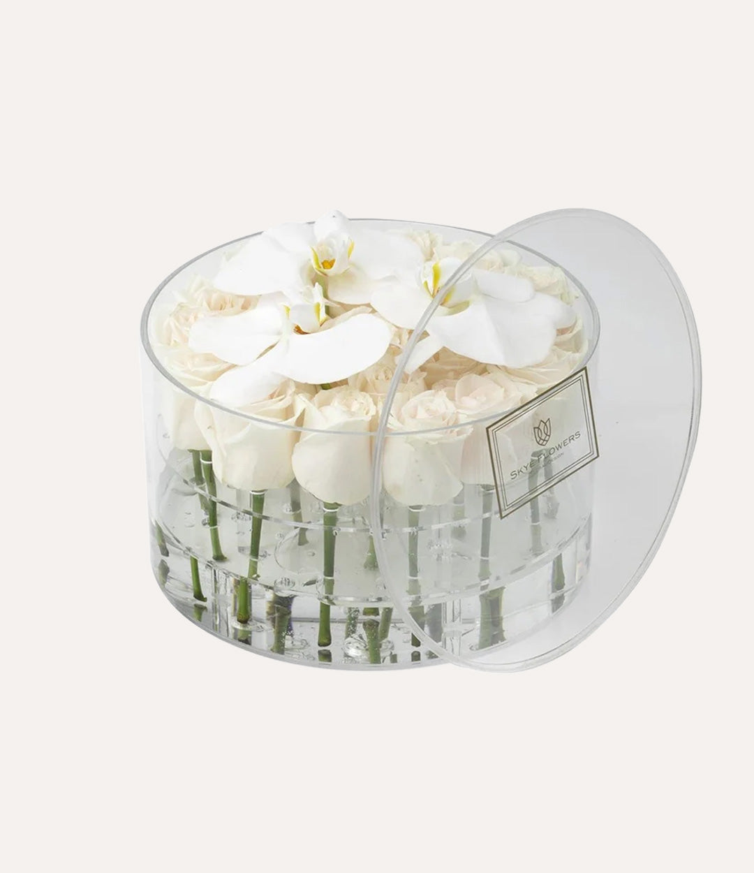 Round Fresh Rose Box