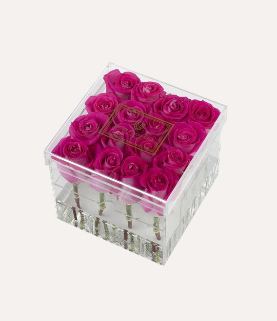 Square Fresh Rose Box