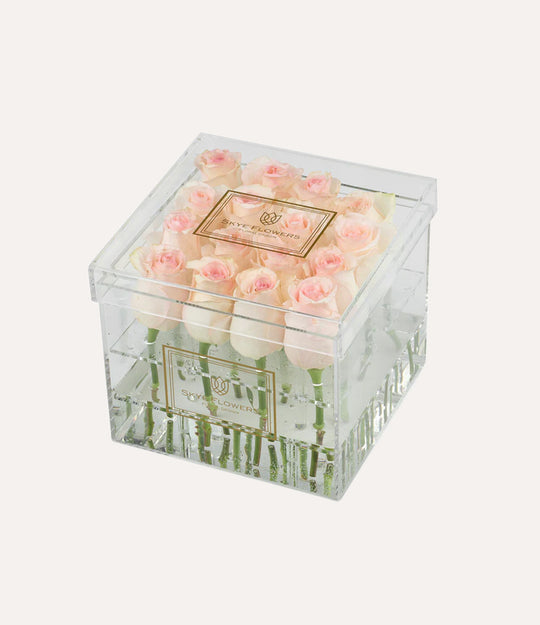 Square Fresh Rose Box