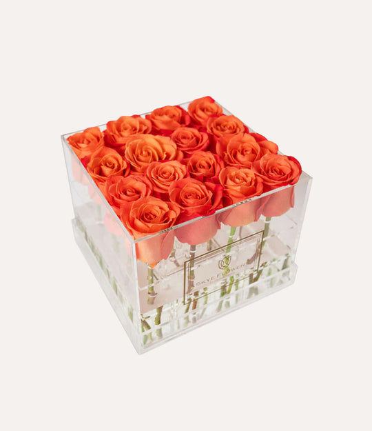 Square Fresh Rose Box