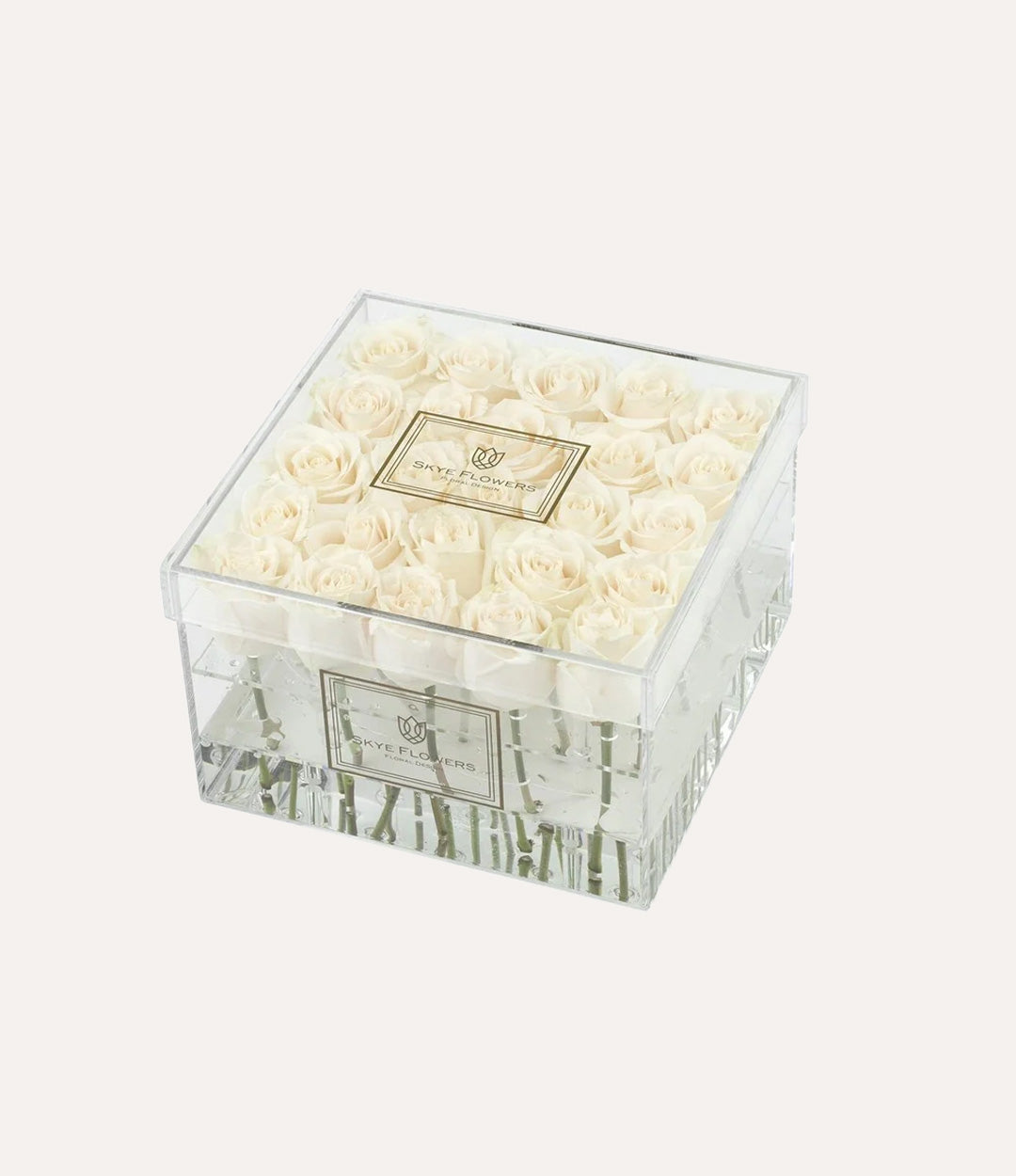 Square Fresh Rose Box