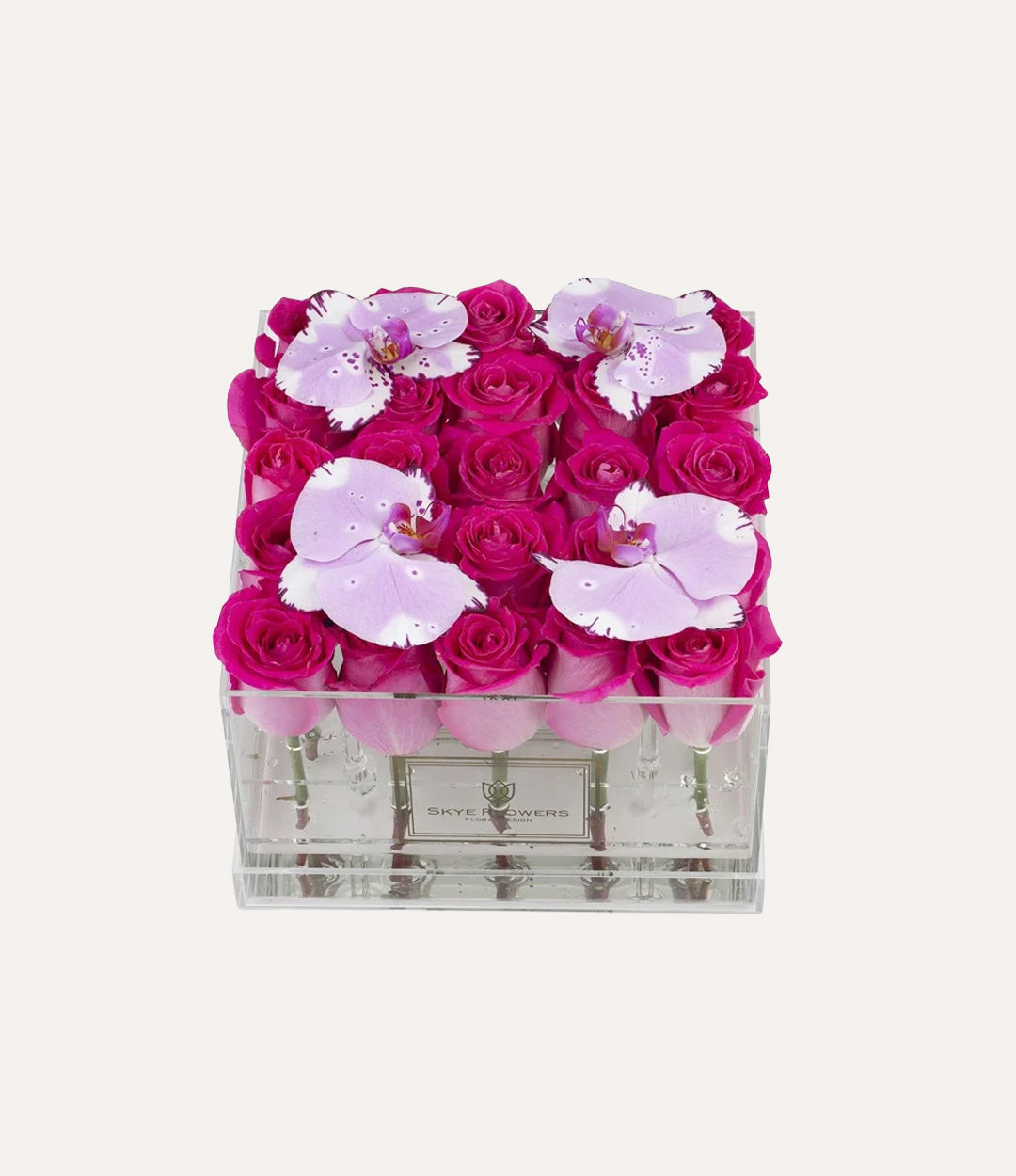 Square Fresh Rose Box