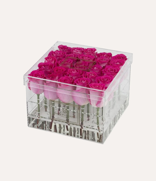 Square Fresh Rose Box