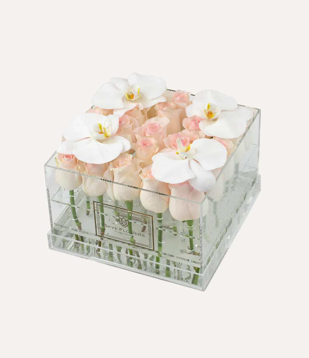 Square Fresh Rose Box