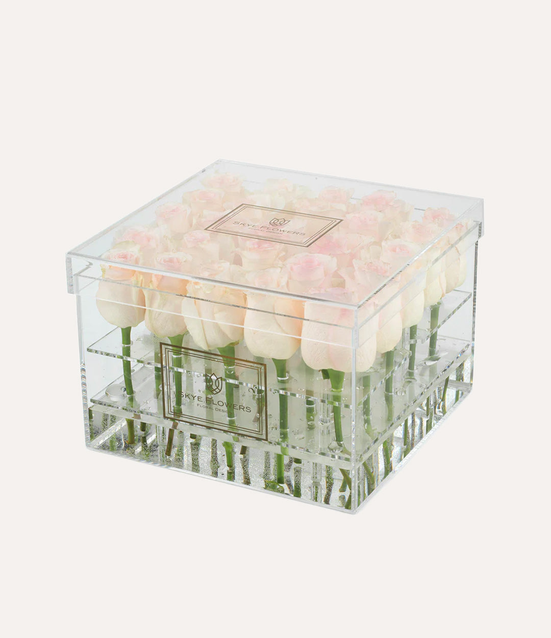 Square Fresh Rose Box