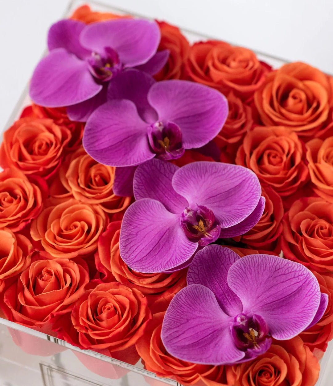 Square Fresh Rose Box