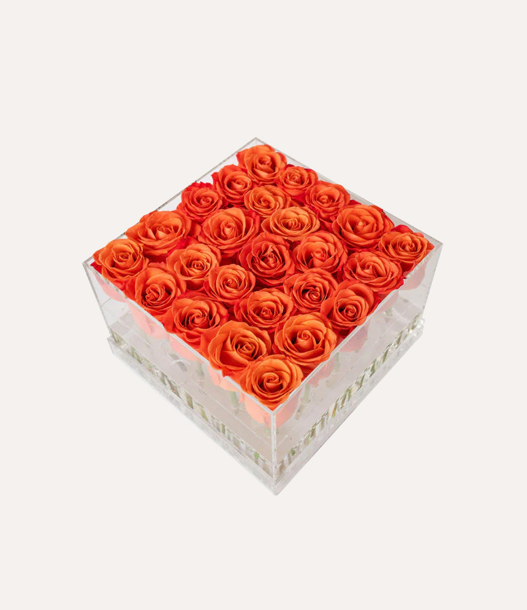 Square Fresh Rose Box