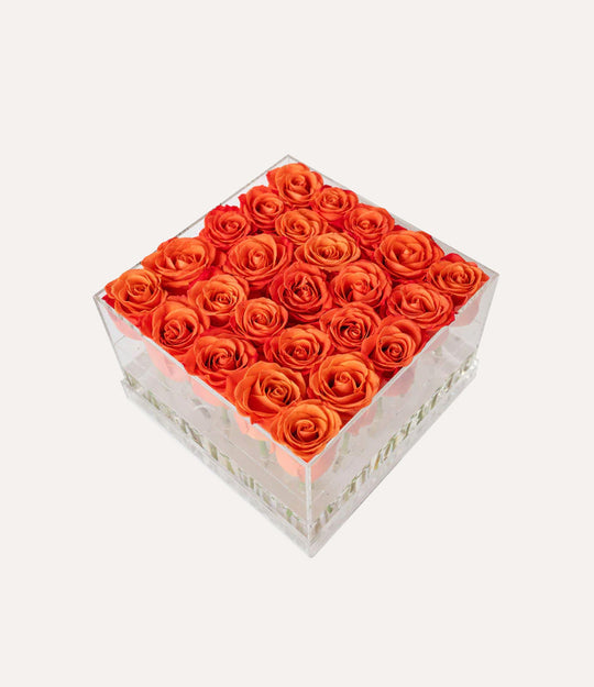 Square Fresh Rose Box