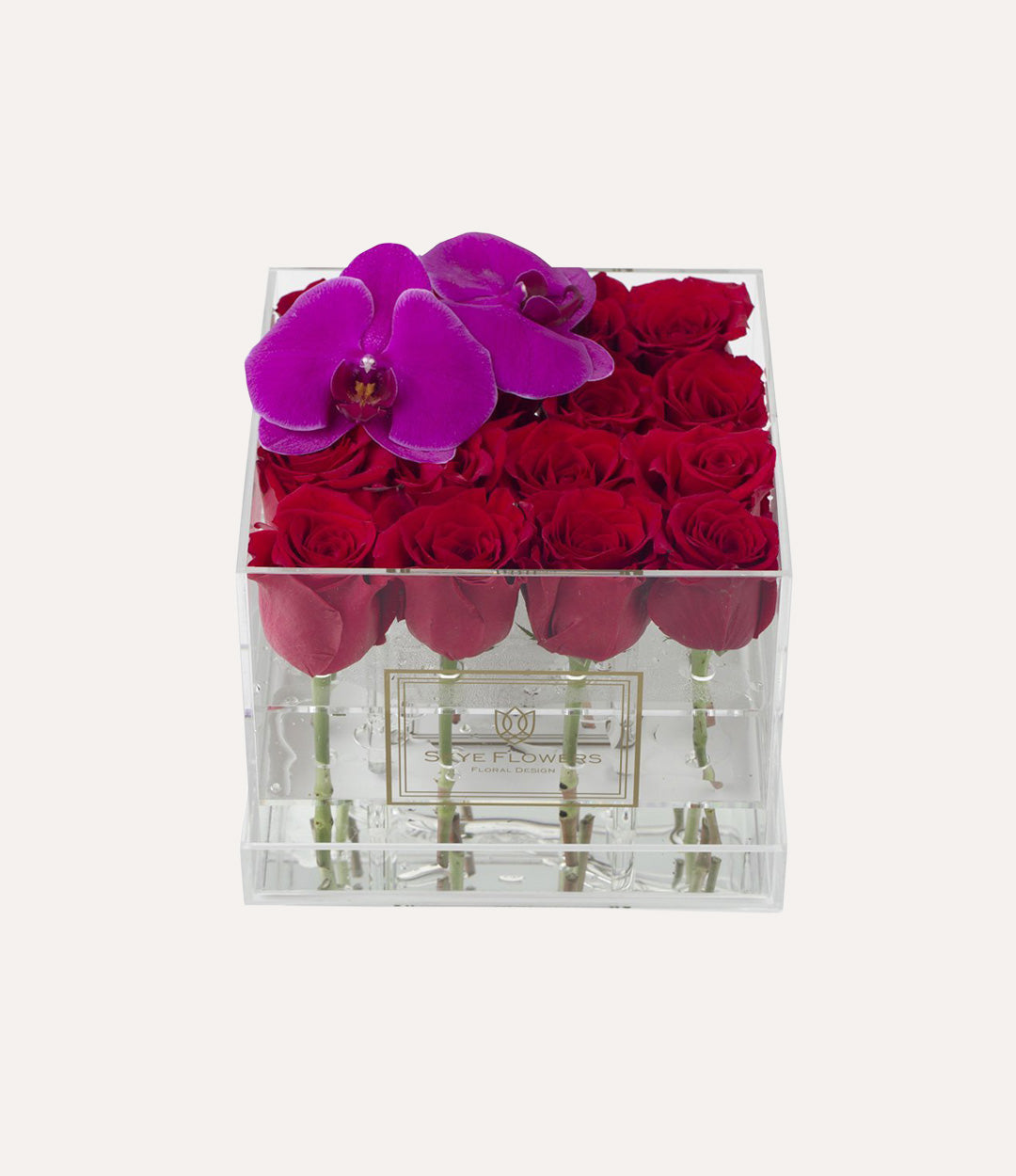 Square Fresh Rose Box