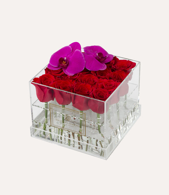 Square Fresh Rose Box