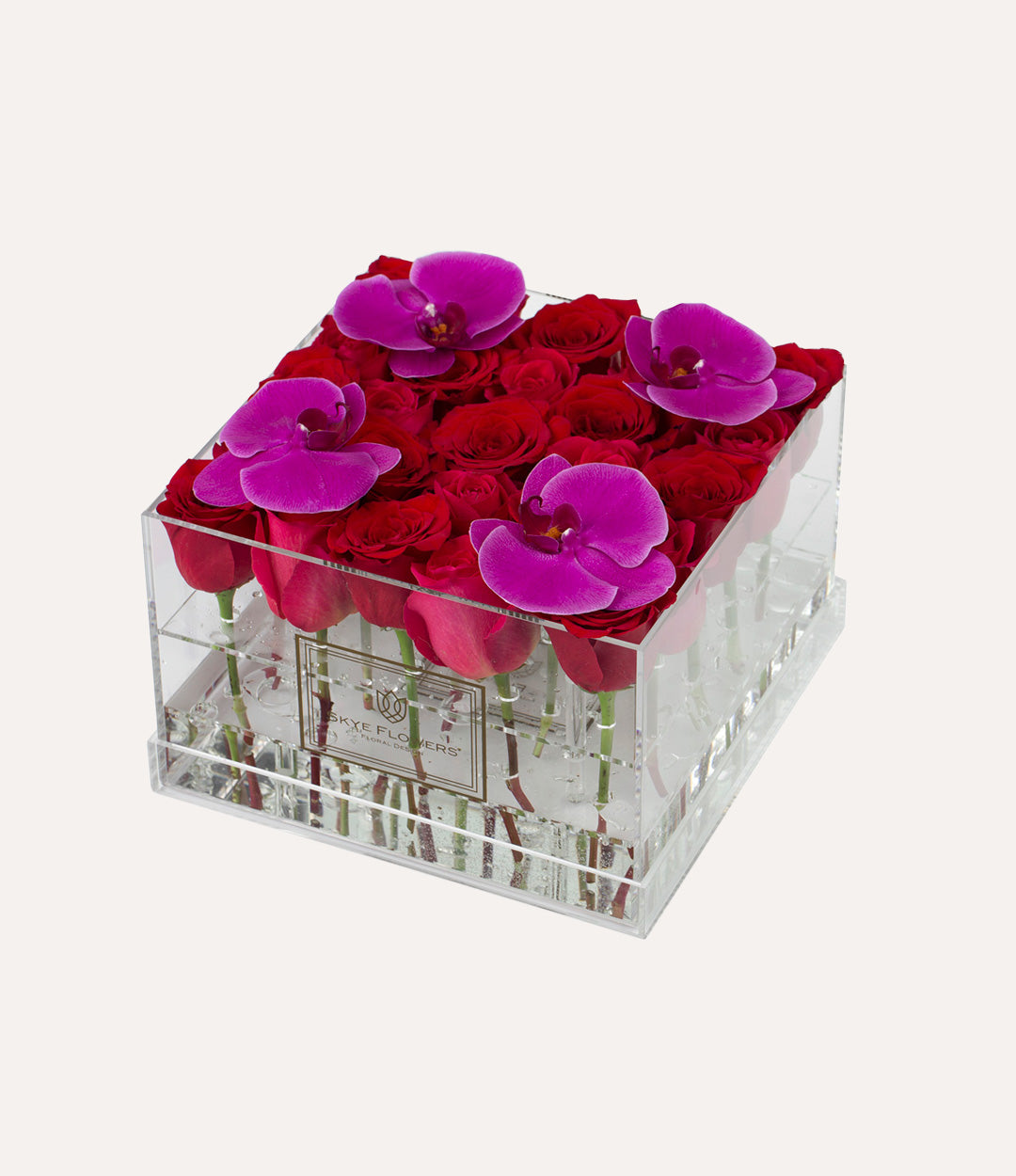 Square Fresh Rose Box