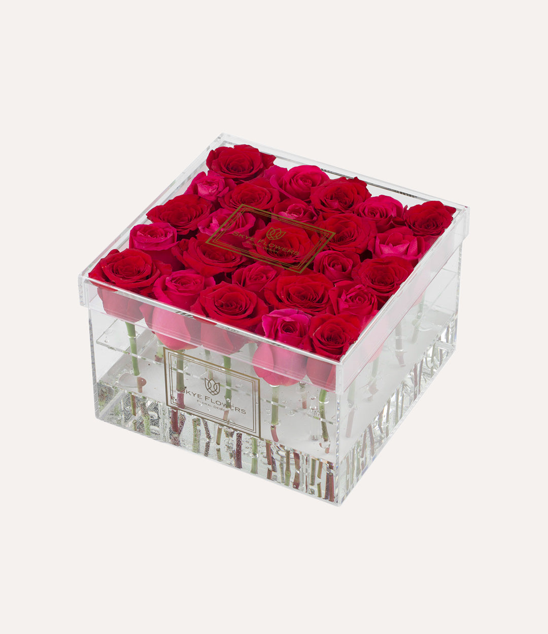 Square Fresh Rose Box