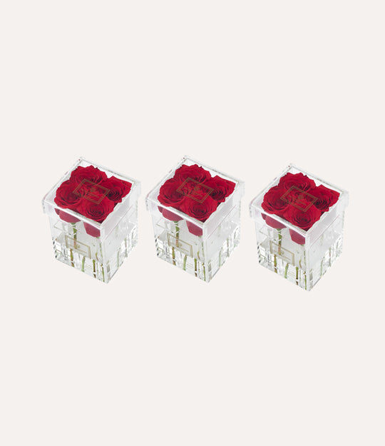 Square Fresh Rose Box