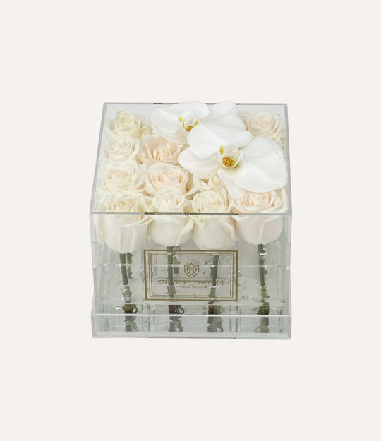 Square Fresh Rose Box