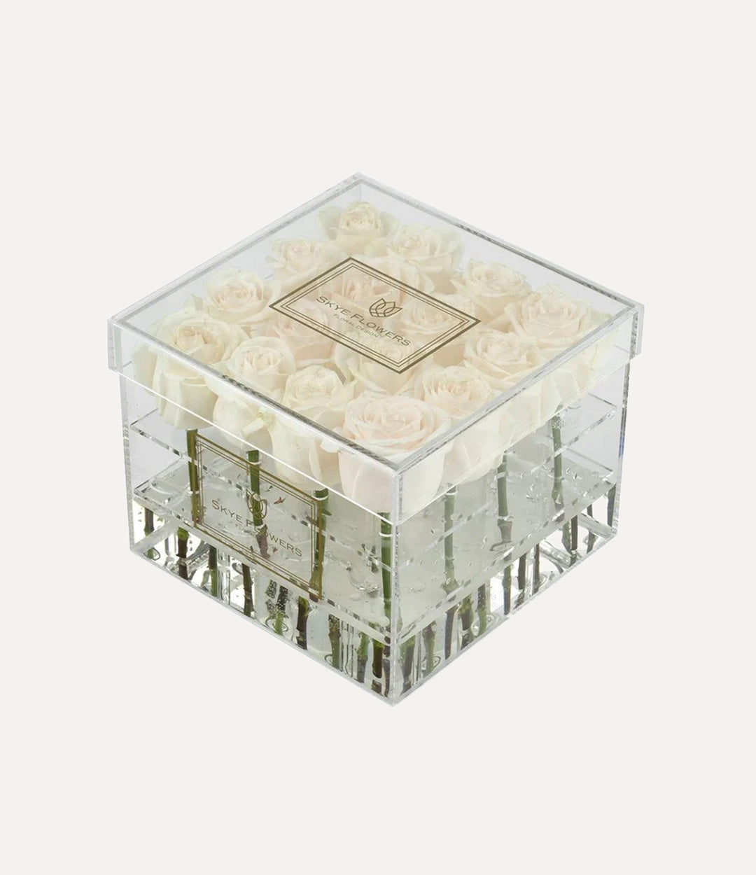Square Fresh Rose Box