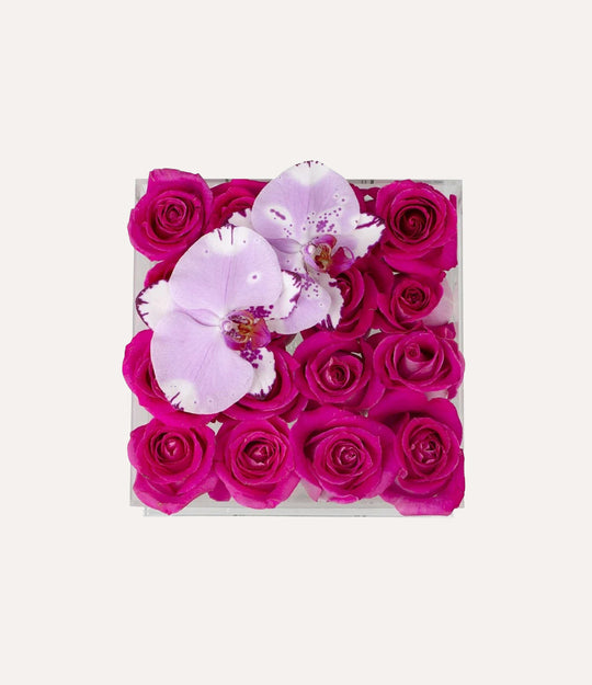 Square Fresh Rose Box