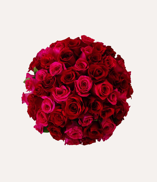 Bouquet of red and pink roses on a light gray background