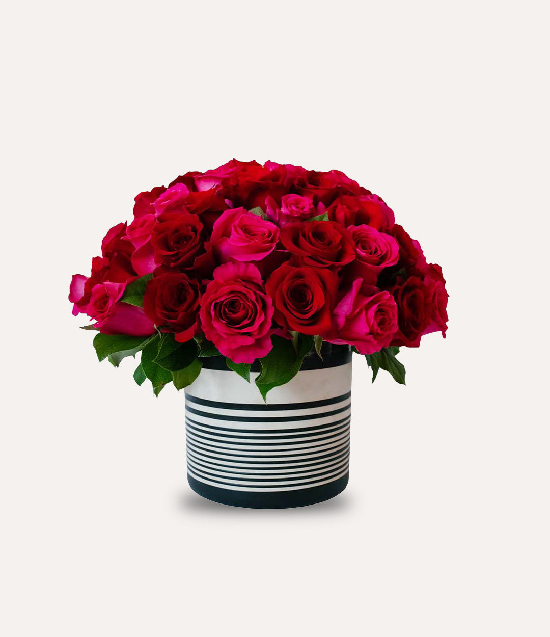 Bouquet of red roses in a striped container on a white background