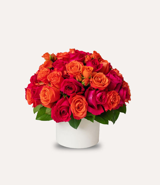Bouquet of red and orange roses in a white container on a light gray background