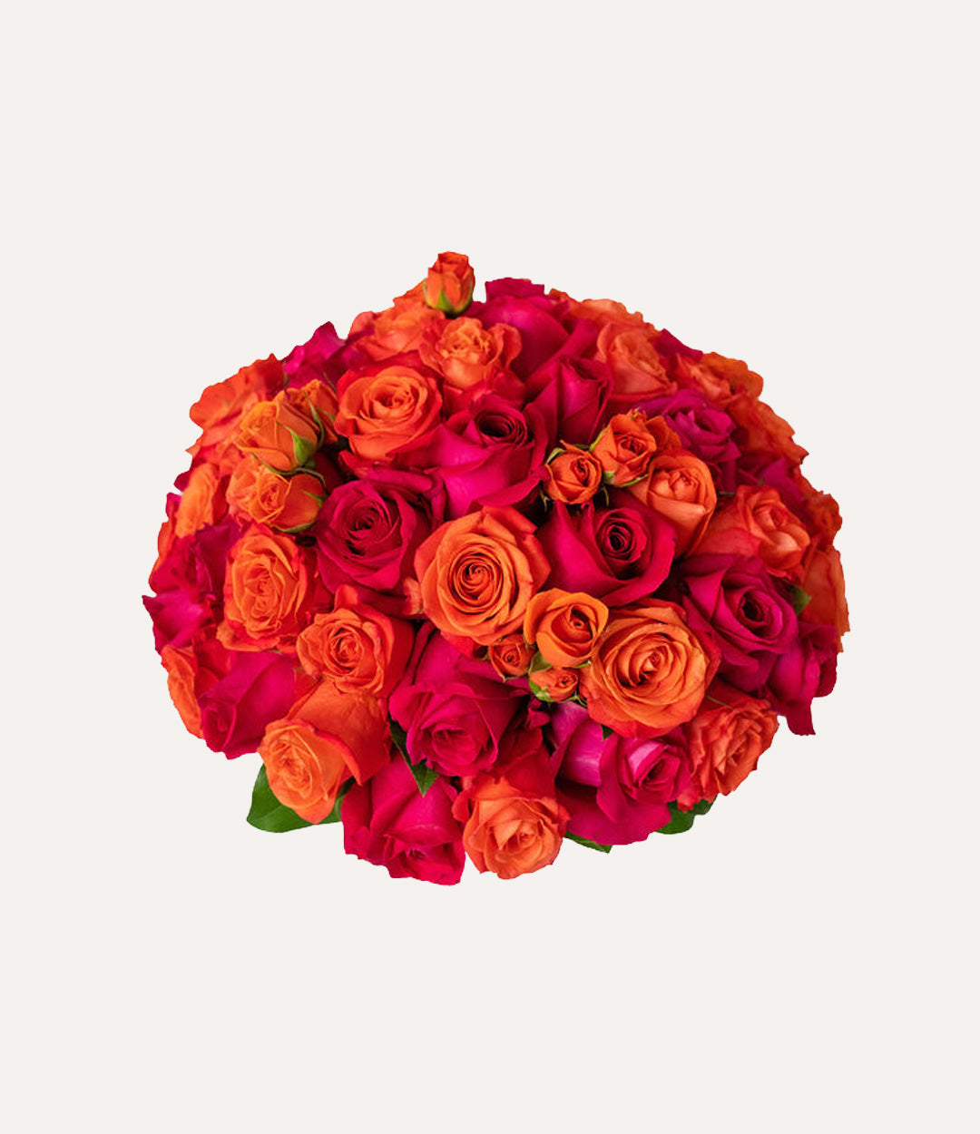 Bouquet of red and orange roses on a light gray background