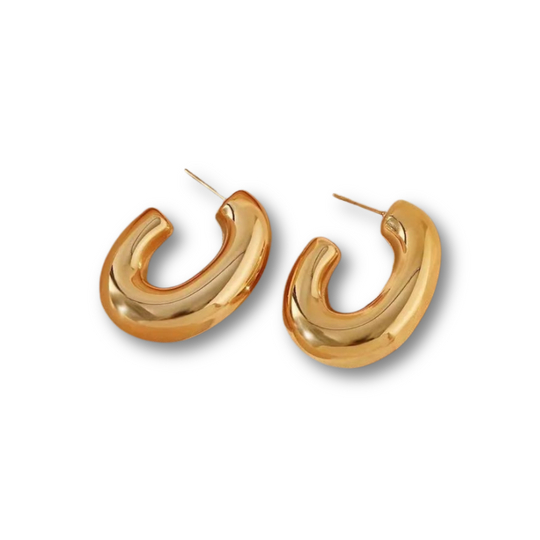 Oval Earring