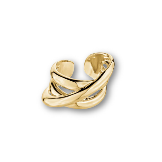 Twisted Love Ring